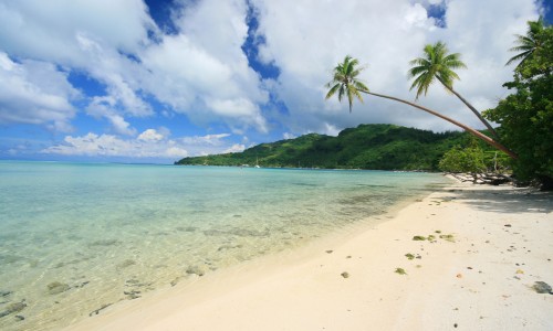 Le Mahana